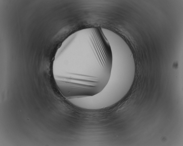 X0000094350693200711241915