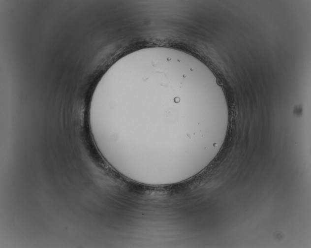 X0000094350694200711241915