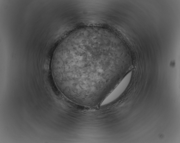 X0000094350695200711241915