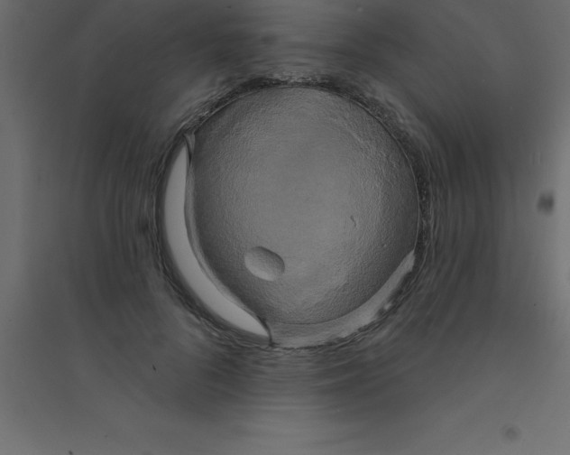 X0000094350696200711241915