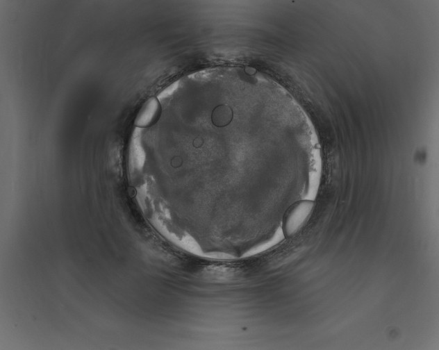 X0000094350699200711241915