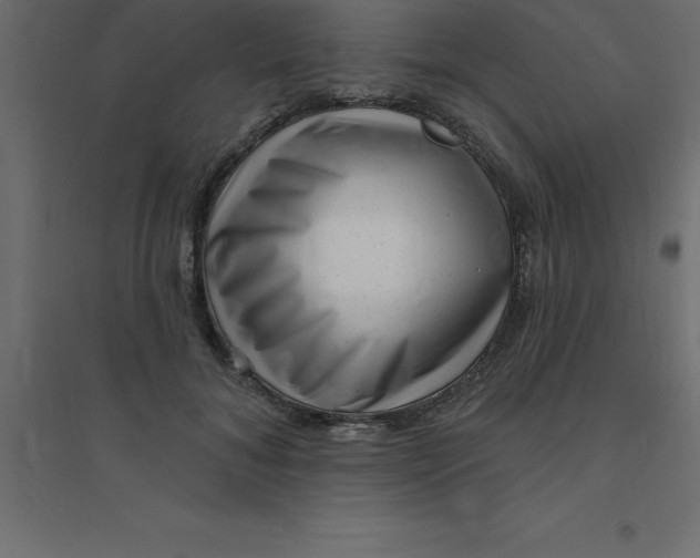 X0000094350700200711241915