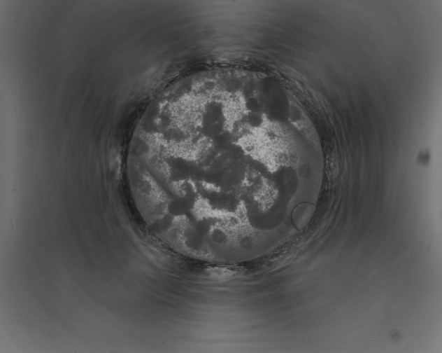 X0000094350703200711241915