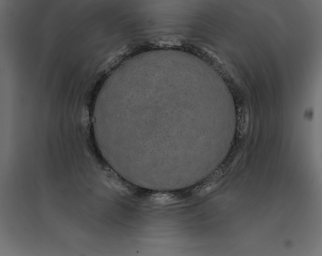 X0000094350704200711241915