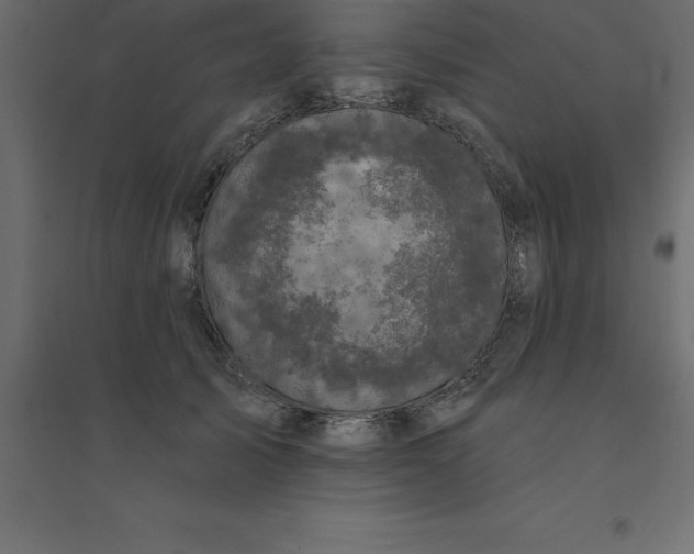 X0000094350705200711241915