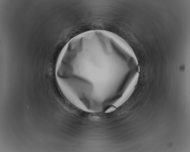 X0000094350706200711241915