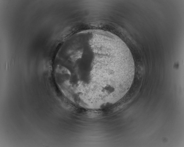 X0000094350707200711241915