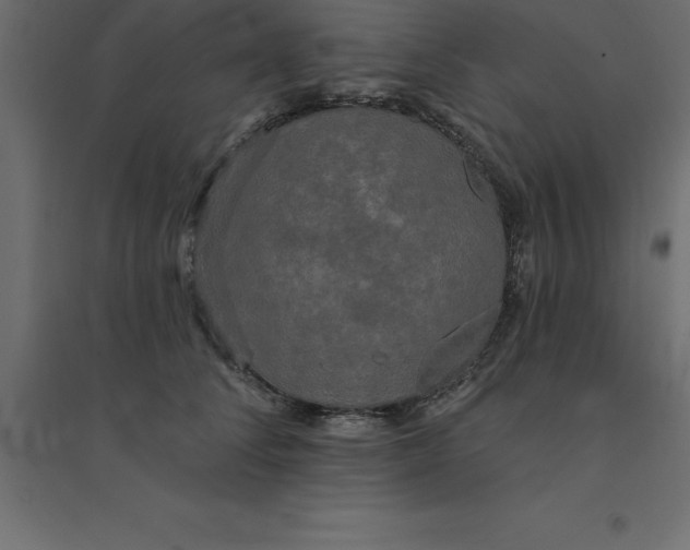 X0000094350708200711241915