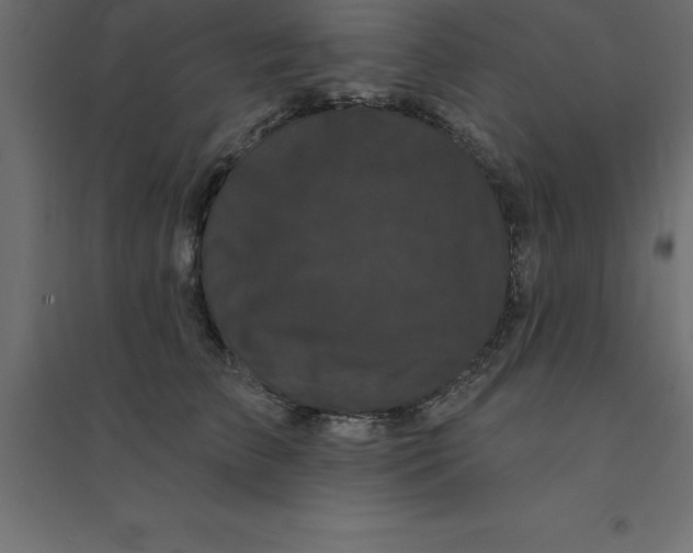 X0000094350709200711241915