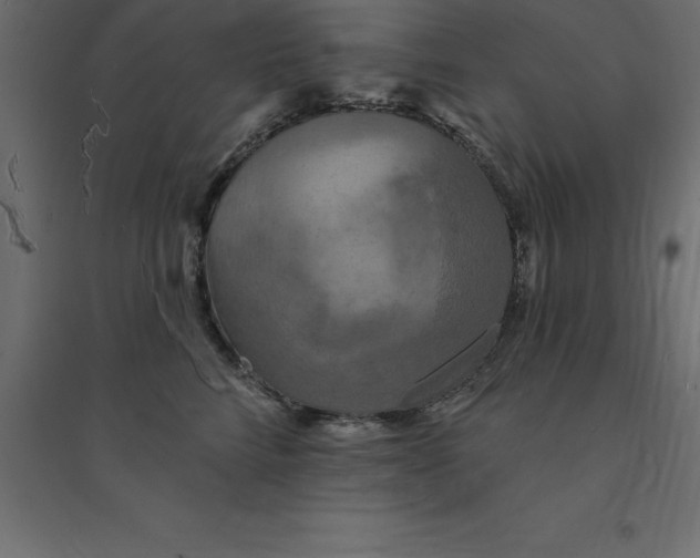 X0000094350712200711241914