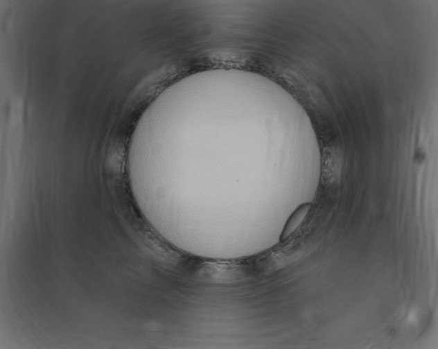 X0000094350713200711241914