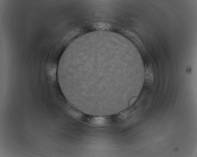 X0000094350717200711241914