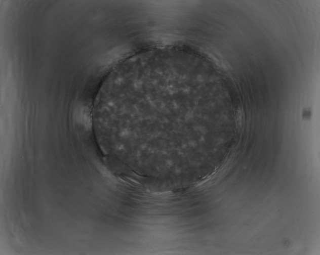 X0000094350719200711241914