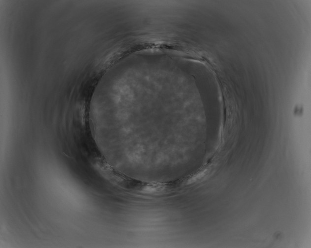 X0000094350720200711241914