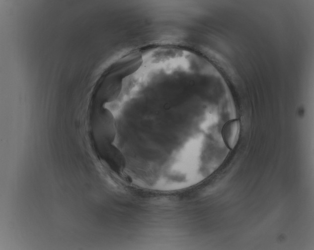 X0000094350721200711241914