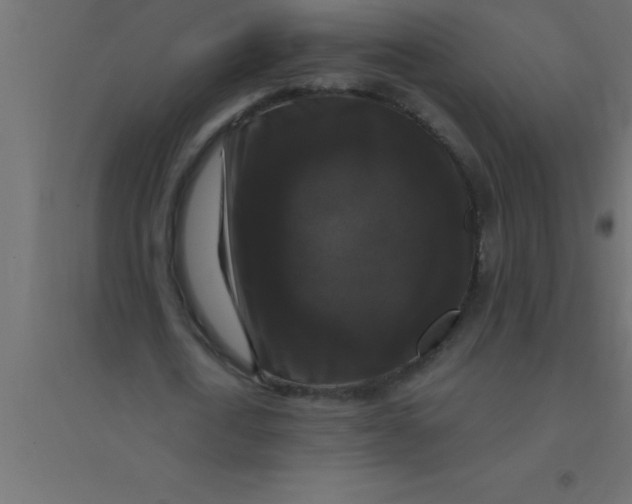 X0000094350722200711241914