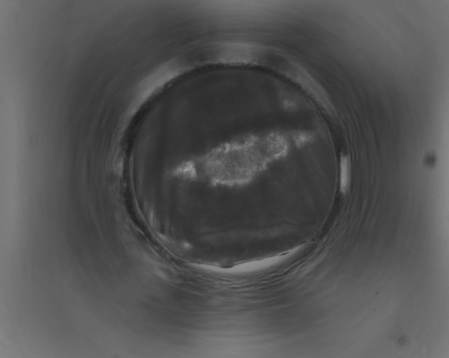 X0000094350723200711241914