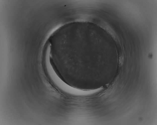 X0000094350724200711241914