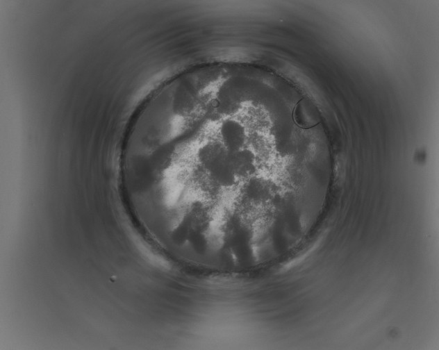 X0000094350725200711241914