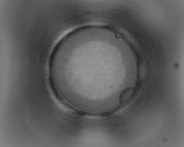 X0000094350726200711241914