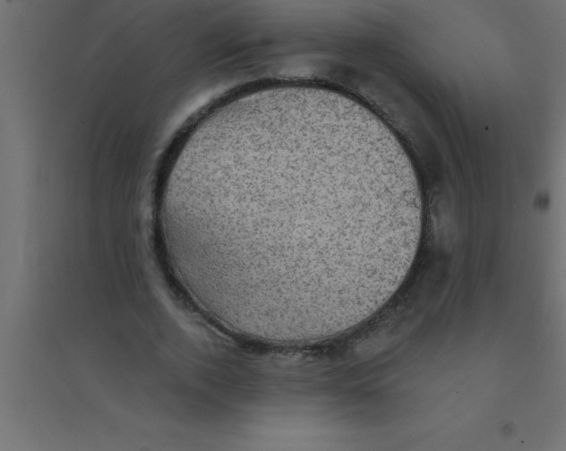 X0000094350728200711241914