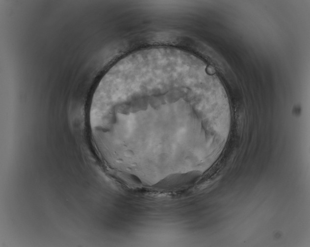 X0000094350729200711241914