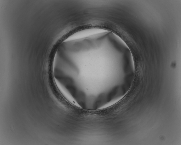 X0000094350730200711241914