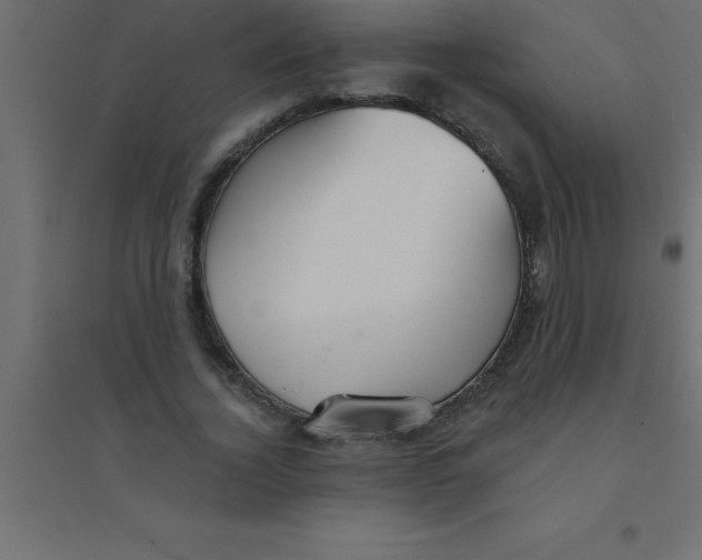 X0000094350732200711241914