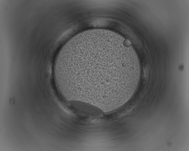 X0000094350733200711241914