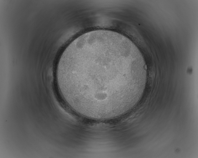 X0000094350734200711241914