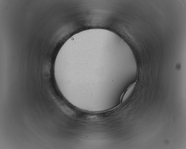 X0000094350735200711241914