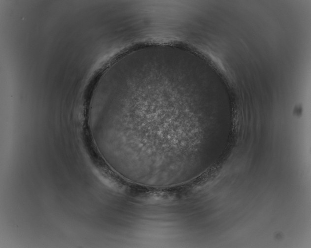 X0000094350736200711241914