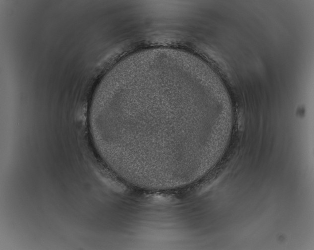 X0000094350737200711241914