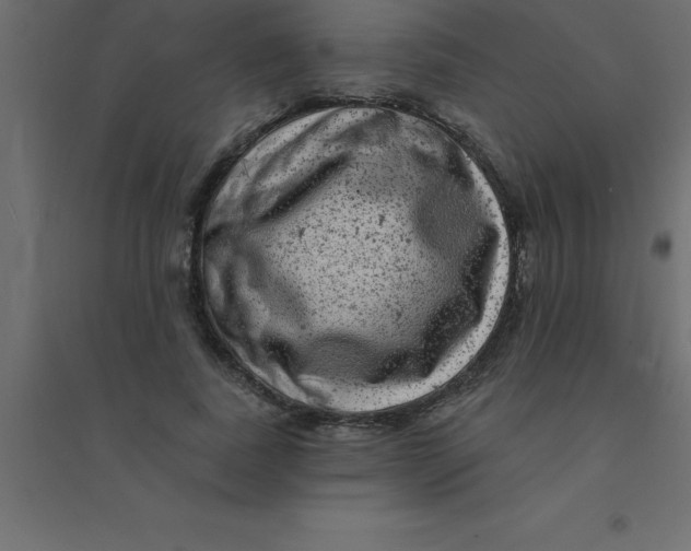 X0000094350739200711241914