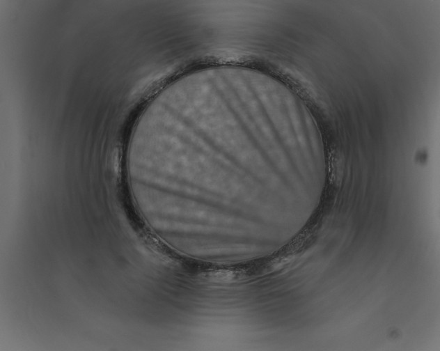 X0000094350740200711241914