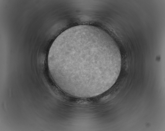 X0000094350742200711241914