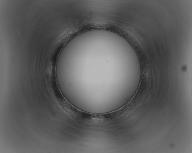 X0000094350744200711241914