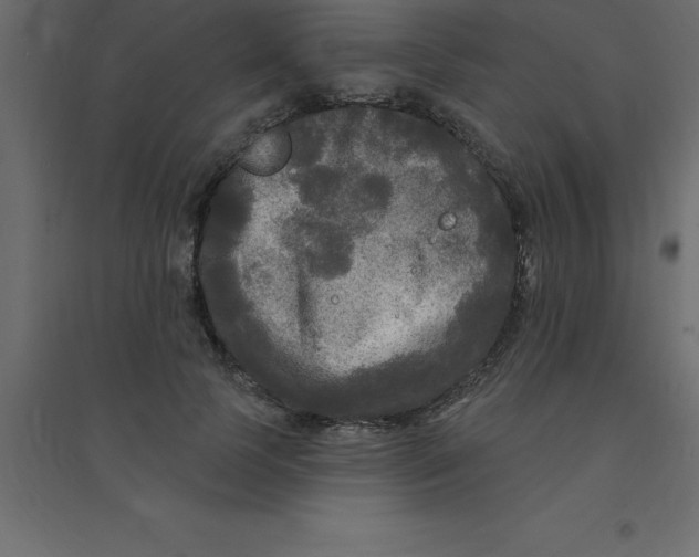 X0000094350745200711241914