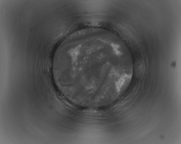 X0000094350747200711241914