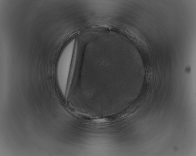 X0000094350748200711241914