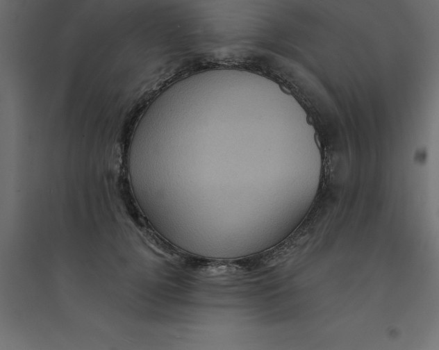 X0000094350752200711241914