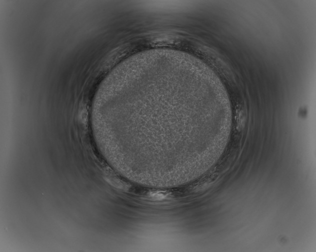 X0000094350753200711241914