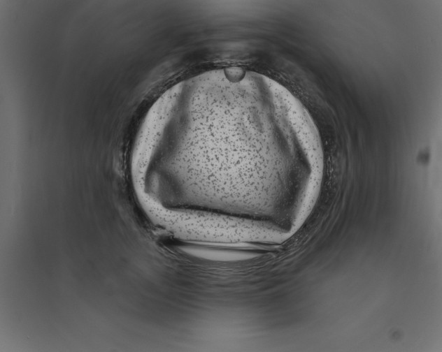 X0000094350755200711241914