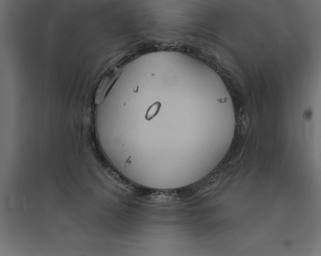 X0000094350756200711241914