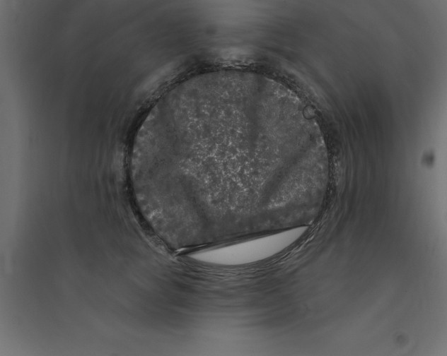 X0000094350757200711241914