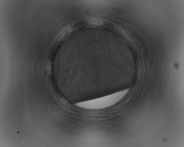 X0000094350758200711241914