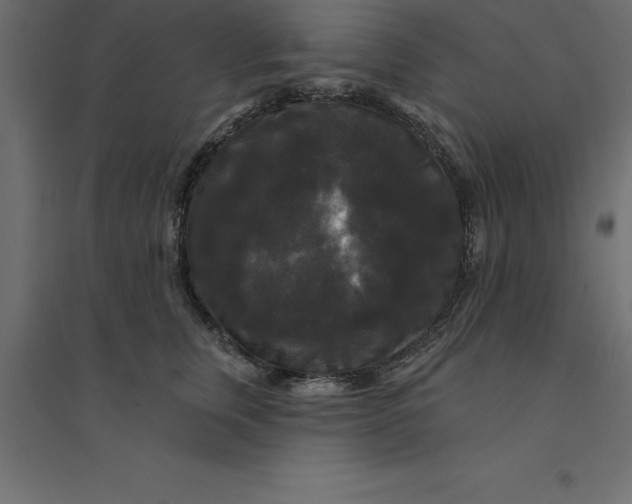 X0000094350759200711241914