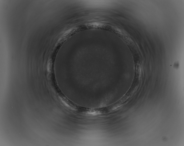 X0000094350760200711241914