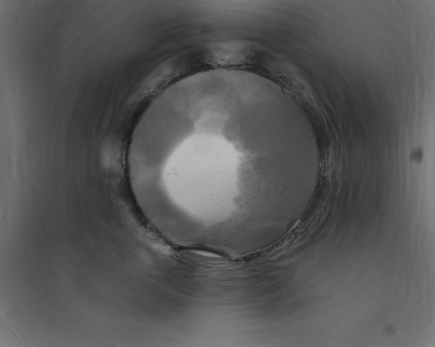 X0000094350763200711241914