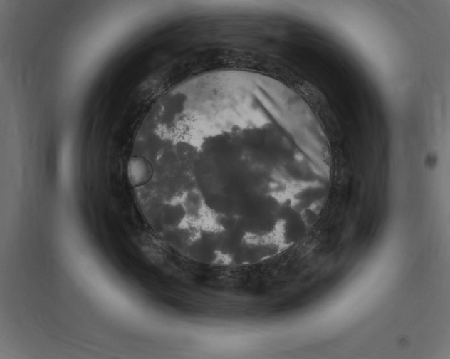 X0000094350765200711241914